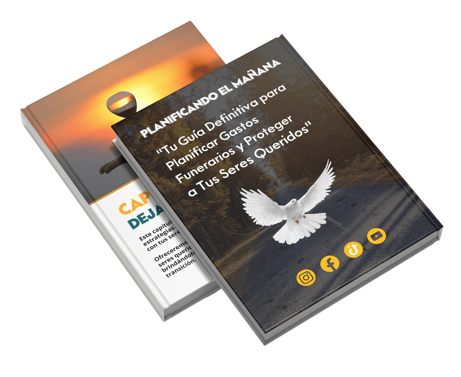 Guía Esencial Portada